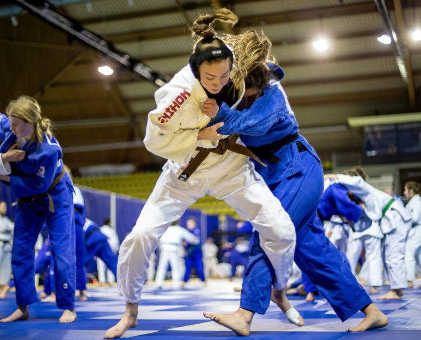 International Judo Training Camp Eindhoven Leeuwendael Evenementen